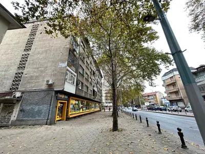 a tree on a sidewalk in front of a building at Sunlight Suite - free private parking - central in Plovdiv