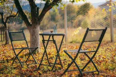 two chairs and a table next to a tree at Guest house by the river in Simitli
