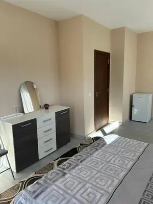 a bedroom with a bed and a dresser and a mirror at Семеен хотел Струма in Boboshevo