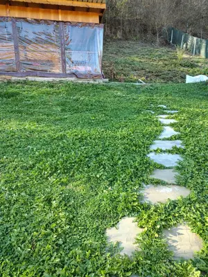 a grassy yard with stepping stones in the grass at Вила Владислава - стаи за гости in Cherni Vit
