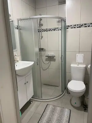 a bathroom with a shower and a toilet and a sink at Cosy home in the heart of Bansko in Bansko
