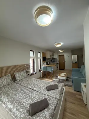 a bedroom with a large bed and a living room at Green Line Studio Appartment Pamporovo in Pamporovo