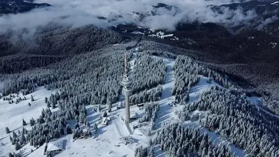 an aerial view of a snow covered mountain with trees at Green Line Studio Appartment Pamporovo in Pamporovo