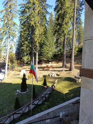a flag on a pole in a park with trees at Green Line Studio Appartment Pamporovo in Pamporovo