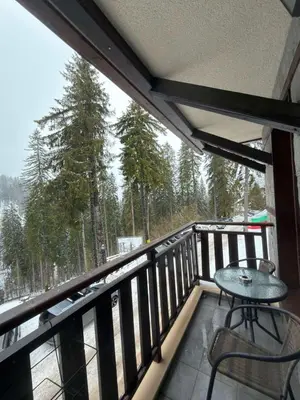 a balcony with a table and chairs and trees at Green Line Studio Appartment Pamporovo in Pamporovo