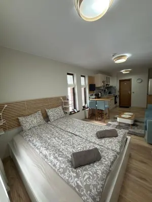 a bedroom with a large bed with two pillows on it at Green Line Studio Appartment Pamporovo in Pamporovo