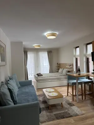 a living room with a couch and a table at Green Line Studio Appartment Pamporovo in Pamporovo