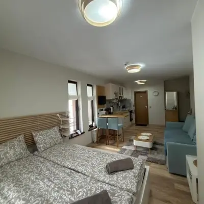 Green Line Studio Appartment Pamporovo