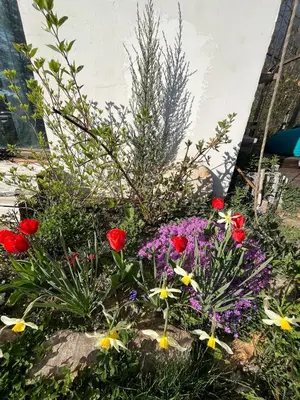 a garden of flowers in front of a building at Cozy frame house in the wood