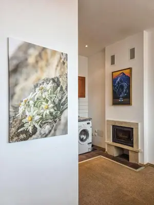a living room with a fireplace and a painting on the wall at EDEL View! 1BR Ap with Top Mountain View in Bansko in Bansko