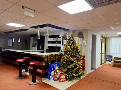 a christmas tree in a room with a bar at Dream Apart - Iceberg in Pamporovo