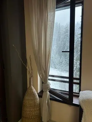 a window with a view of a snow covered tree at Green Point Apartment A18 in Pamporovo