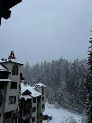 a building covered in snow with trees in the background at Green Point Apartment A18 in Pamporovo