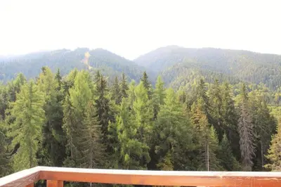 a view of a forest of trees and mountains at Mountain View Studio Borovets Hills A60 in Borovets