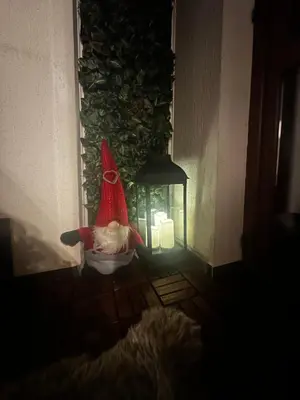 a cat in a bowl next to a lantern at Winter Lotos Apartment Pamporovo in Pamporovo