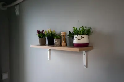 a shelf with potted plants on a wall at Comfy&Chick Central Apartment, Free Street Parking in Blagoevgrad