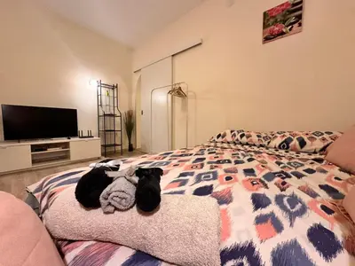 a bedroom with a black cat laying on a bed at Vinny's Place in Sofia