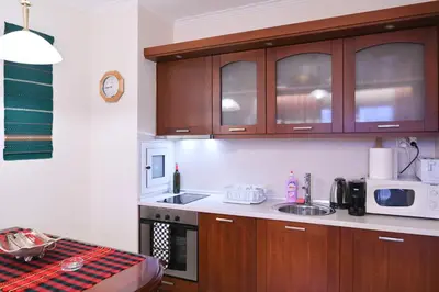 a kitchen with a sink and a microwave at Riverside 1BR in Downtown Near Ski Lift by Flat Mаnаger in Bansko