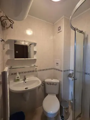 a bathroom with a toilet and a sink and a shower at Апартамент Маунтин лодж in Pamporovo