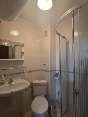 a bathroom with a toilet and a sink and a shower at Апартамент Маунтин лодж in Pamporovo