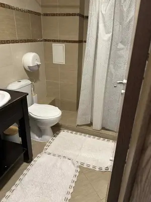 a bathroom with a toilet and a shower and a sink at Green Point Studio O12 in Chepelare