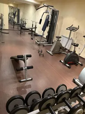 a gym with a bunch of weights and machines at Chamkoria Borovets luxury apartment view in Borovets