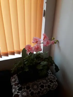 a vase with pink flowers on a table next to a window at Guest House The House in Plovdiv