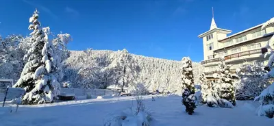 a hotel in the snow with trees and a mountain at Amore Grande in Beli Iskar