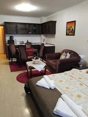 a living room with couches a couch and a kitchen at Ski point in Pamporovo