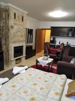 a living room with a couch and a fireplace at Ski point in Pamporovo