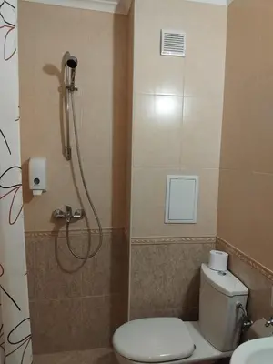 a bathroom with a toilet and a shower at Ski point in Pamporovo