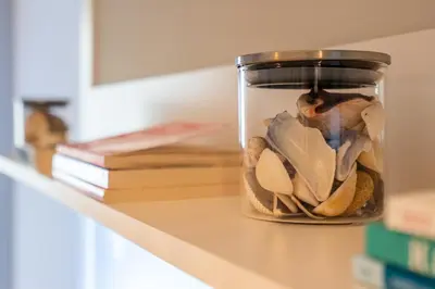 a jar of shells sitting on a shelf with books at The Urban Pulse Stylish Flat in Sofia