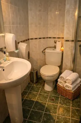 a bathroom with a white toilet and a sink at Хотел Ривърсайд Анекс in Bansko
