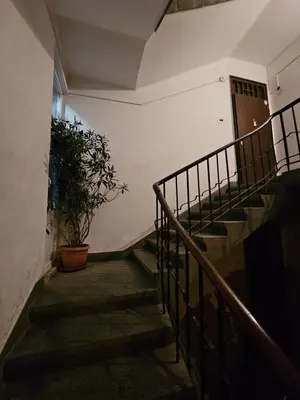 a staircase in a building with a potted plant at 4BR Central Retreat in Sofia