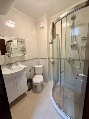 a bathroom with a shower and a toilet and a sink at Deluxe Apartment 34 Mountain Lodge Pamporovo in Pamporovo