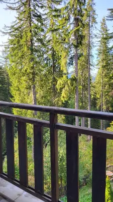 a wooden deck with trees in the background at Apartments Pamporovo, Green life apartment hotel in Pamporovo