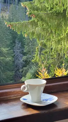 a coffee cup sitting on a table next to a window at Apartments Pamporovo, Green life apartment hotel in Pamporovo