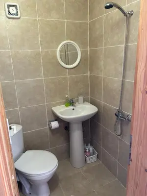 a bathroom with a toilet and a sink and a shower at Relyovo Lodge in Relyovo