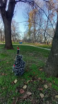 a chicken sitting in the grass next to a tree at ATM apart Lagera in Sofia