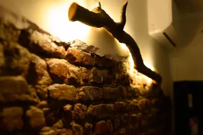 a stone wall with a branch on it at 1 min from NDK and Vitoshka street in Sofia