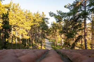 a view from the roof of a house with trees at Апартамент Боров рай in Velingrad