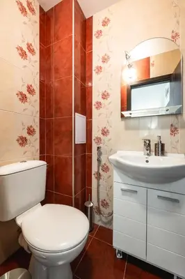 a bathroom with a toilet and a sink at Апартамент Боров рай in Velingrad