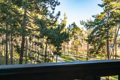 a view from a window of a park with trees at Апартамент Боров рай in Velingrad