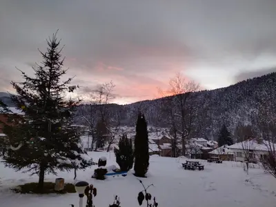 a snow covered yard with a christmas tree at Sunny Studio Eagle Rock in Beli Iskar