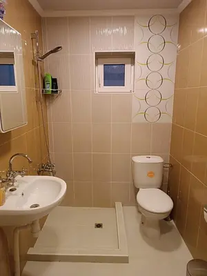 a bathroom with a toilet and a sink at Марковата Къща in Madzhare