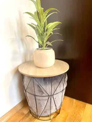 a plant in a pot on top of a table at The Mountain Hug 1BR by SI Stay in Bansko