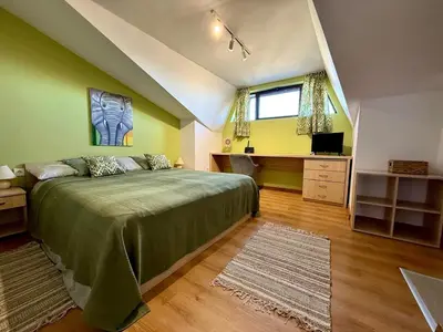 a bedroom with a bed and a desk and a window at Green Elephant in Razlog
