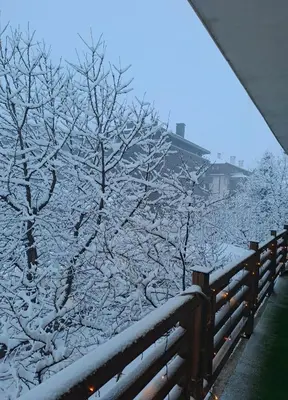 a fence covered in snow next to trees at къща за гости Цветелина и Митко in Bansko
