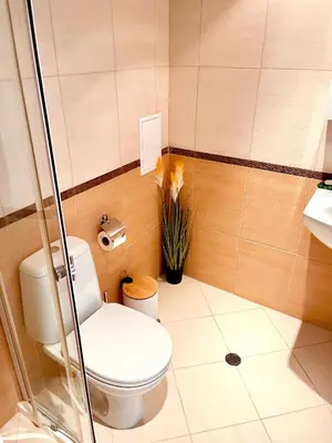 a bathroom with a toilet and a plant at Pamporovo Cozy Ski-Close Nest in Pamporovo