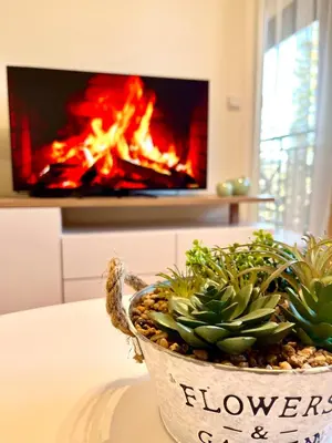 a potted plant sitting on a table in front of a fireplace at Pamporovo Cozy Ski-Close Nest in Pamporovo
